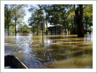 Natural Hazard Mitigation